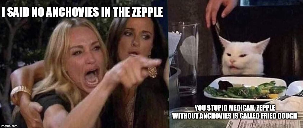 woman yelling at cat | I SAID NO ANCHOVIES IN THE ZEPPLE; YOU STUPID MEDIGAN, ZEPPLE WITHOUT ANCHOVIES IS CALLED FRIED DOUGH | image tagged in woman yelling at cat | made w/ Imgflip meme maker