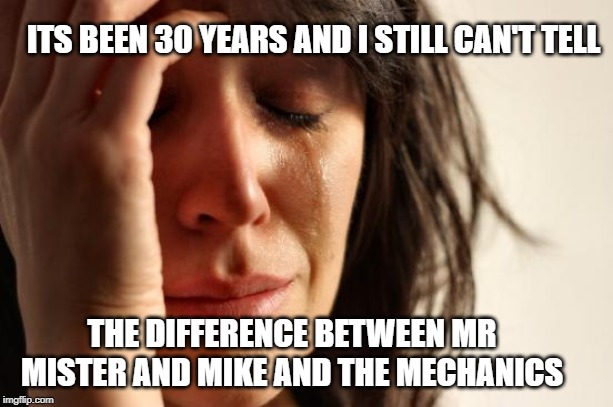 I can't tell! | ITS BEEN 30 YEARS AND I STILL CAN'T TELL; THE DIFFERENCE BETWEEN MR MISTER AND MIKE AND THE MECHANICS | image tagged in memes,first world problems,80s music | made w/ Imgflip meme maker