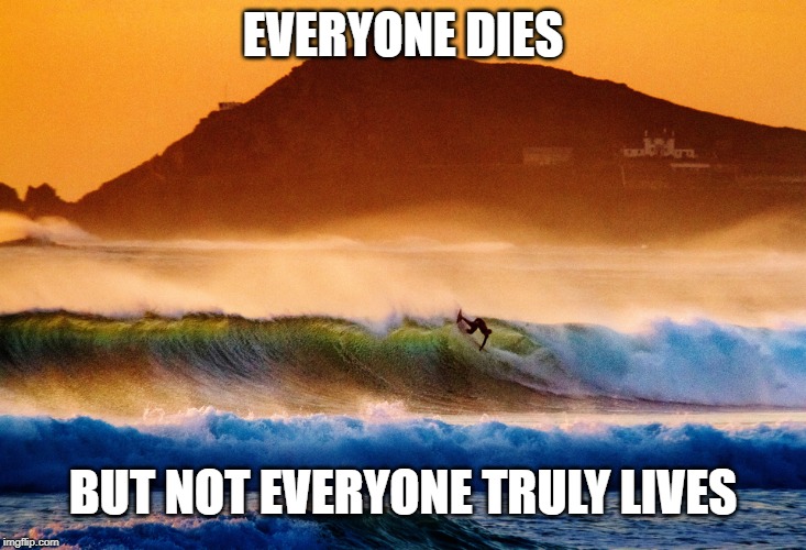 Live Life | EVERYONE DIES; BUT NOT EVERYONE TRULY LIVES | image tagged in live life | made w/ Imgflip meme maker