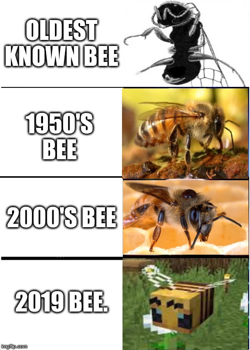 Expanding Brain | OLDEST KNOWN BEE; 1950'S BEE; 2000'S BEE; 2019 BEE. | image tagged in memes,expanding brain | made w/ Imgflip meme maker
