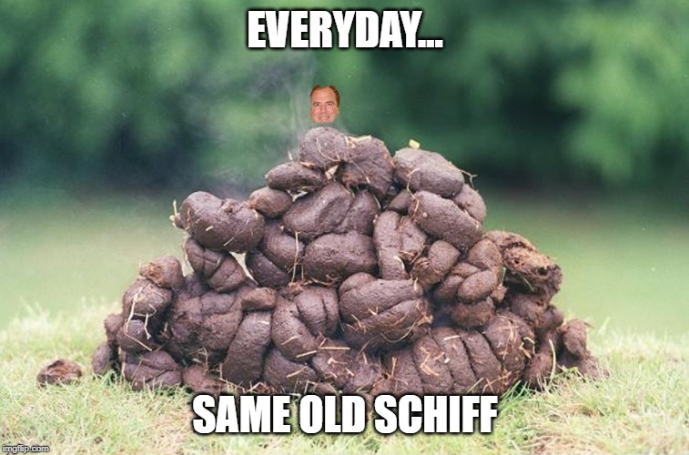 Schiff is S*** | EVERYDAY... SAME OLD SCHIFF | image tagged in schiff is shit,shifty schiff,politics,memes | made w/ Imgflip meme maker