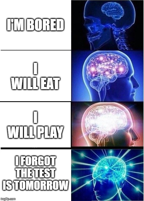 Idk what I'm doing |  I'M BORED; I WILL EAT; I WILL PLAY; I FORGOT THE TEST IS TOMORROW | image tagged in memes,expanding brain,idk,bored,yes | made w/ Imgflip meme maker