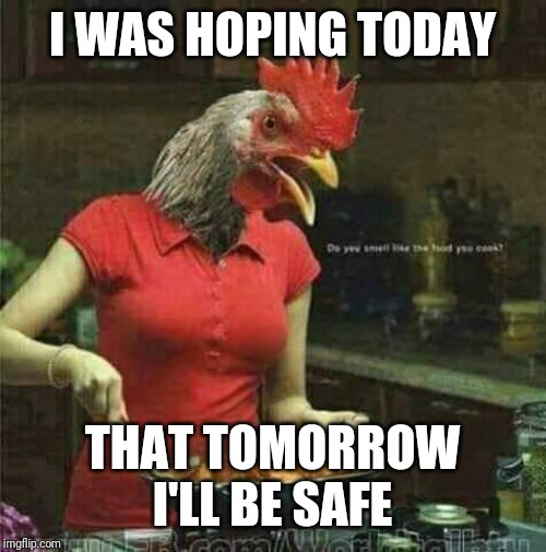 Chicken cooks | I WAS HOPING TODAY; THAT TOMORROW I'LL BE SAFE | image tagged in chicken | made w/ Imgflip meme maker