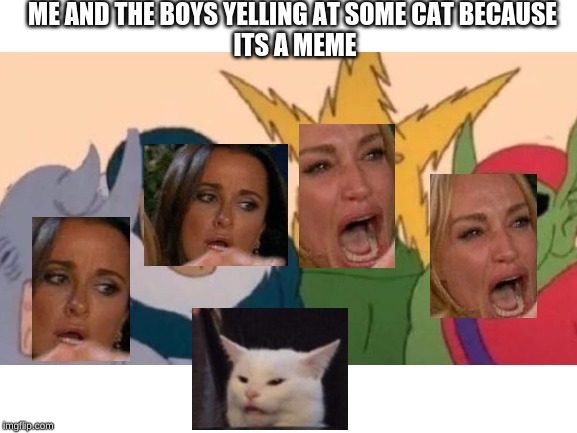 Me And the boys yelling at cat | ME AND THE BOYS YELLING AT SOME CAT BECAUSE 
ITS A MEME | image tagged in me and the boys | made w/ Imgflip meme maker