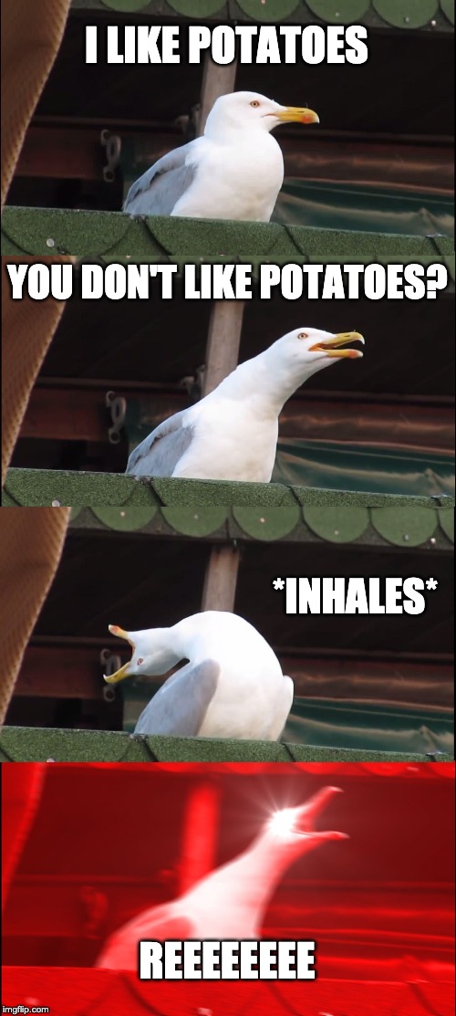 Inhaling Seagull | I LIKE POTATOES; YOU DON'T LIKE POTATOES? *INHALES*; REEEEEEEE | image tagged in memes,inhaling seagull | made w/ Imgflip meme maker