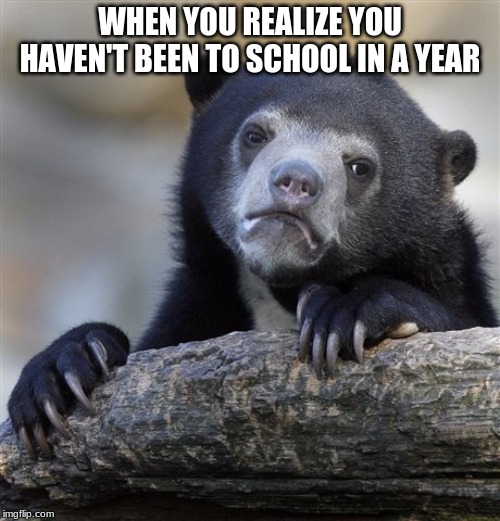 Confession Bear Meme | WHEN YOU REALIZE YOU HAVEN'T BEEN TO SCHOOL IN A YEAR | image tagged in memes,confession bear | made w/ Imgflip meme maker