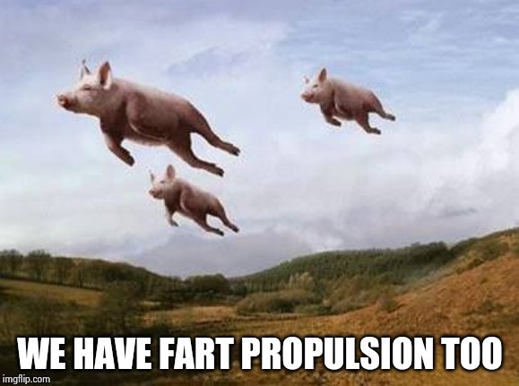 Pigs Fly | WE HAVE FART PROPULSION TOO | image tagged in pigs fly | made w/ Imgflip meme maker