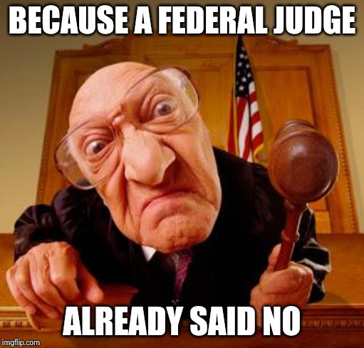 Mean Judge | BECAUSE A FEDERAL JUDGE ALREADY SAID NO | image tagged in mean judge | made w/ Imgflip meme maker
