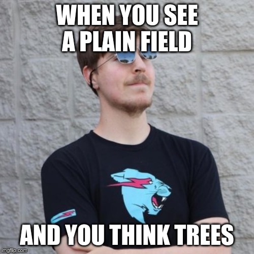 Mr. Beast | WHEN YOU SEE A PLAIN FIELD; AND YOU THINK TREES | image tagged in mr beast | made w/ Imgflip meme maker