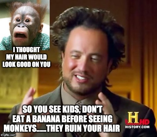 Ancient Aliens | I THOUGHT MY HAIR WOULD LOOK GOOD ON YOU; SO YOU SEE KIDS, DON'T EAT A BANANA BEFORE SEEING MONKEYS......THEY RUIN YOUR HAIR | image tagged in memes,ancient aliens | made w/ Imgflip meme maker