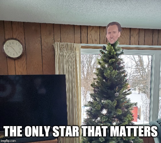 THE ONLY STAR THAT MATTERS | image tagged in nicolas cage,christmas tree | made w/ Imgflip meme maker