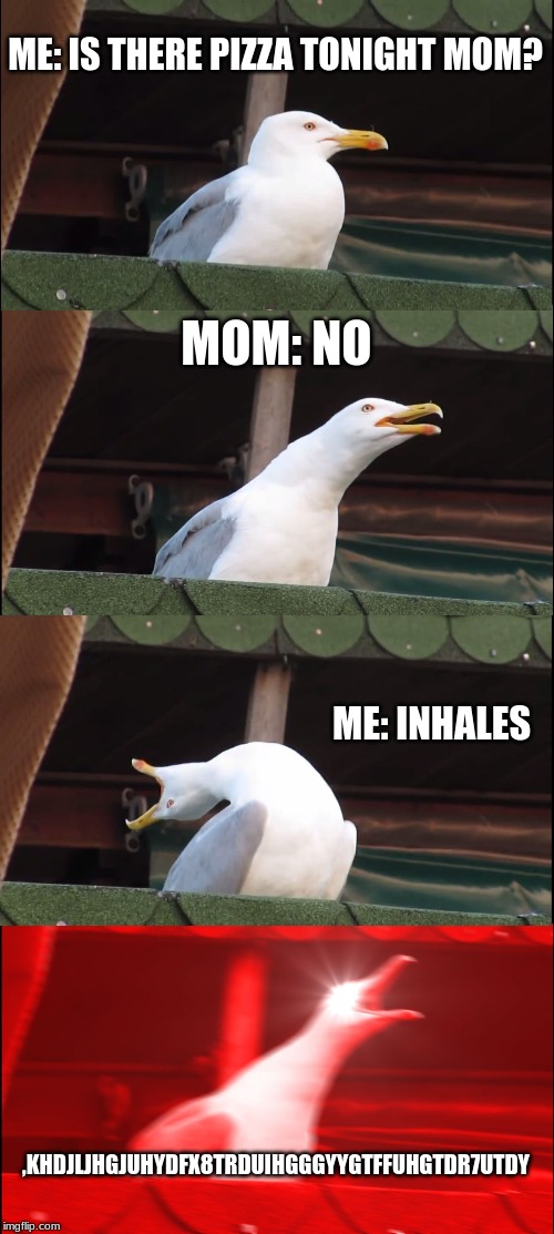 Inhaling Seagull Meme | ME: IS THERE PIZZA TONIGHT MOM? MOM: NO; ME: INHALES; ,KHDJLJHGJUHYDFX8TRDUIHGGGYYGTFFUHGTDR7UTDY | image tagged in memes,inhaling seagull | made w/ Imgflip meme maker