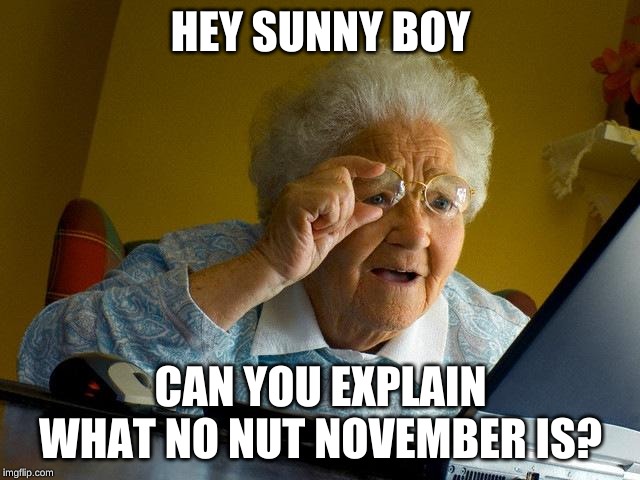 Grandma Finds The Internet | HEY SUNNY BOY; CAN YOU EXPLAIN WHAT NO NUT NOVEMBER IS? | image tagged in memes,grandma finds the internet | made w/ Imgflip meme maker