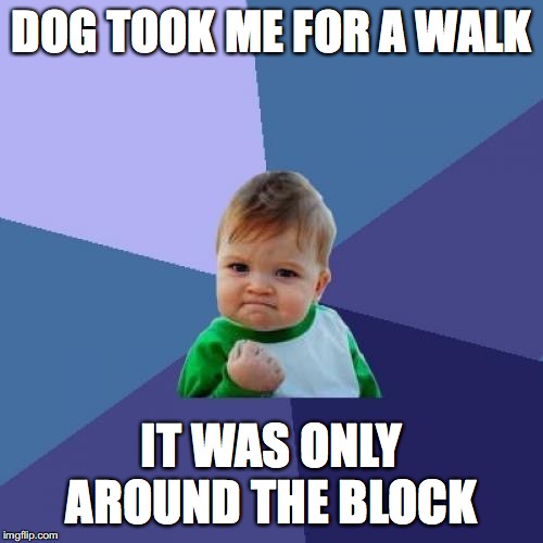 Success Kid Meme | DOG TOOK ME FOR A WALK; IT WAS ONLY AROUND THE BLOCK | image tagged in memes,success kid | made w/ Imgflip meme maker