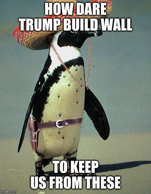 Mexican penguin | HOW DARE TRUMP BUILD WALL; TO KEEP US FROM THESE | image tagged in mexican penguin | made w/ Imgflip meme maker