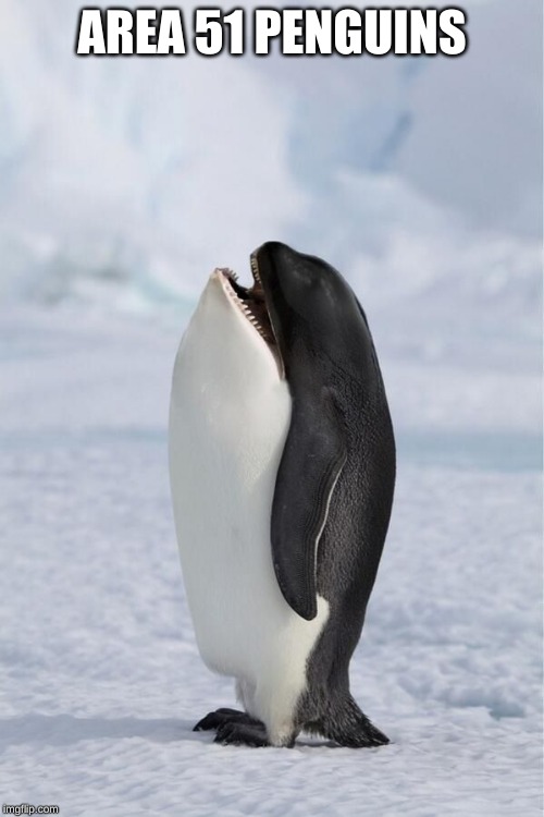 Whale Penguin | AREA 51 PENGUINS | image tagged in whale penguin | made w/ Imgflip meme maker