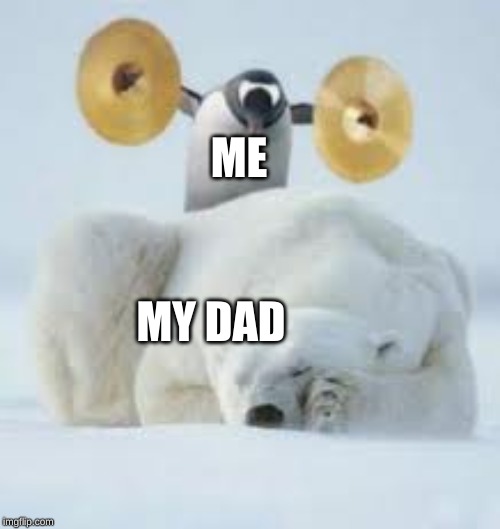 Penguin Wake Up | ME; MY DAD | image tagged in penguin wake up | made w/ Imgflip meme maker