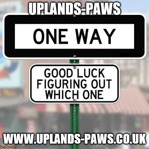 Funny Sign | UPLANDS-PAWS; WWW.UPLANDS-PAWS.CO.UK | image tagged in funny sign | made w/ Imgflip meme maker