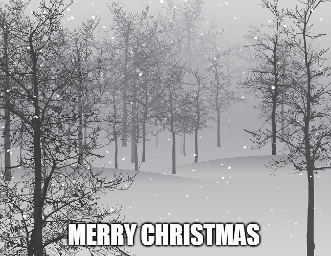 CHRISTMAS | MERRY CHRISTMAS | image tagged in christmas memes | made w/ Imgflip meme maker