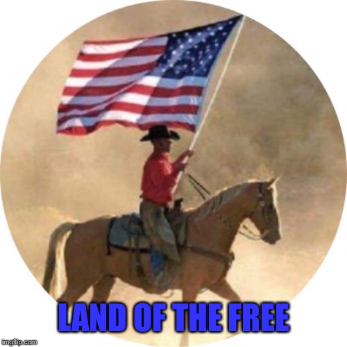 Land of the Free | LAND OF THE FREE | image tagged in american flag | made w/ Imgflip meme maker