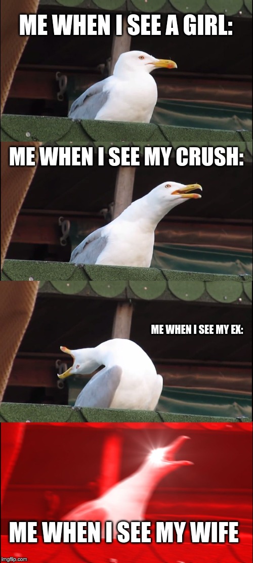 Inhaling Seagull | ME WHEN I SEE A GIRL:; ME WHEN I SEE MY CRUSH:; ME WHEN I SEE MY EX:; ME WHEN I SEE MY WIFE | image tagged in memes,inhaling seagull | made w/ Imgflip meme maker