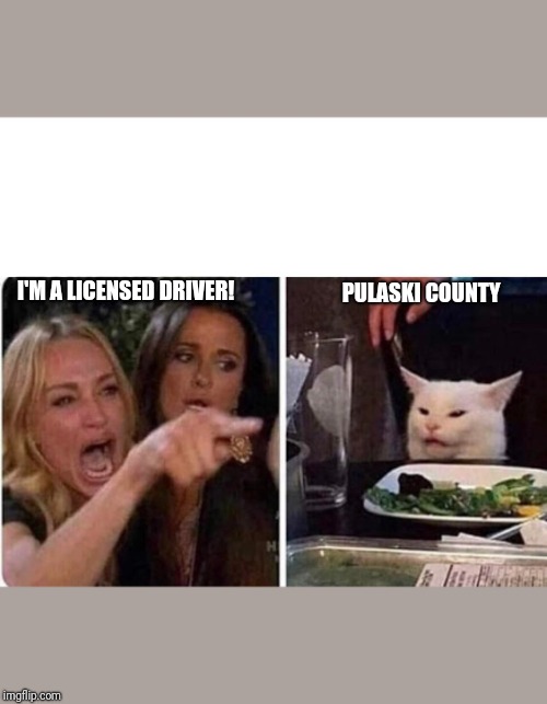 Lady screams at cat | I'M A LICENSED DRIVER! PULASKI COUNTY | image tagged in lady screams at cat | made w/ Imgflip meme maker