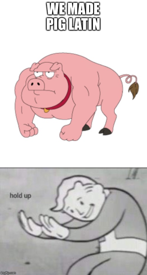 WE MADE PIG LATIN | image tagged in fallout hold up | made w/ Imgflip meme maker