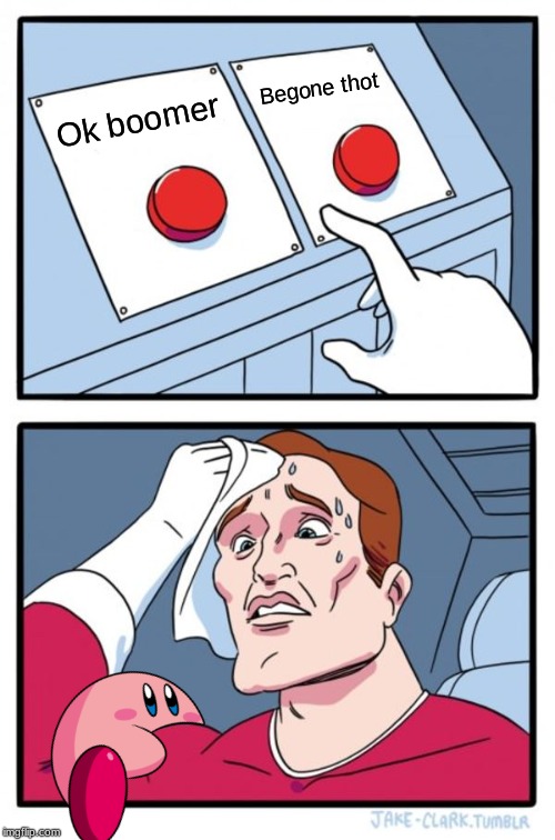 Two Buttons | Begone thot; Ok boomer | image tagged in memes,two buttons | made w/ Imgflip meme maker