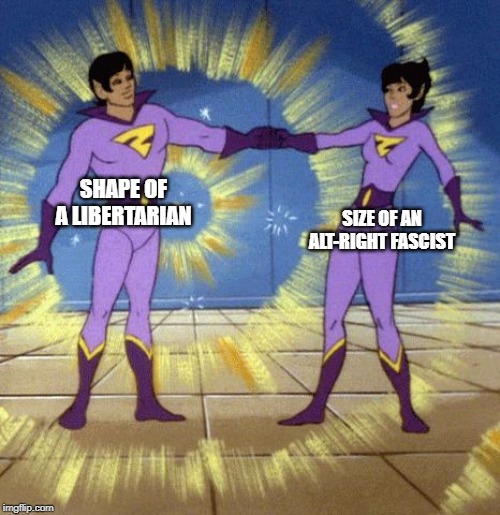 Wonder Twins | SHAPE OF A LIBERTARIAN; SIZE OF AN ALT-RIGHT FASCIST | image tagged in wonder twins | made w/ Imgflip meme maker