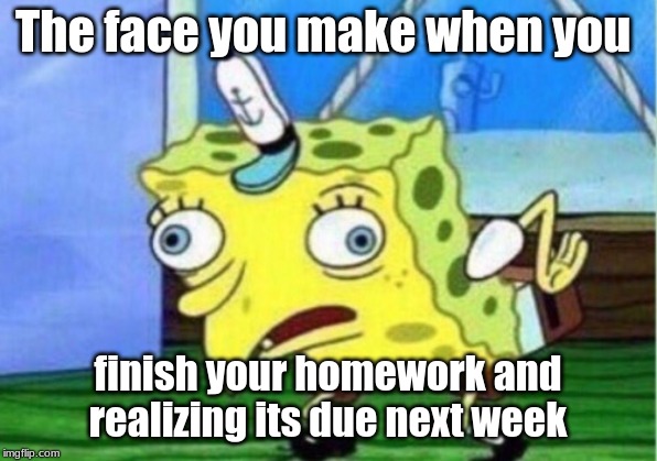 Mocking Spongebob | The face you make when you; finish your homework and realizing its due next week | image tagged in memes,mocking spongebob | made w/ Imgflip meme maker