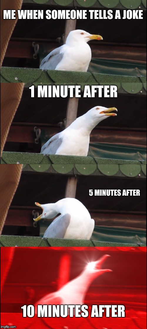 Inhaling Seagull Meme | ME WHEN SOMEONE TELLS A JOKE; 1 MINUTE AFTER; 5 MINUTES AFTER; 10 MINUTES AFTER | image tagged in memes,inhaling seagull | made w/ Imgflip meme maker