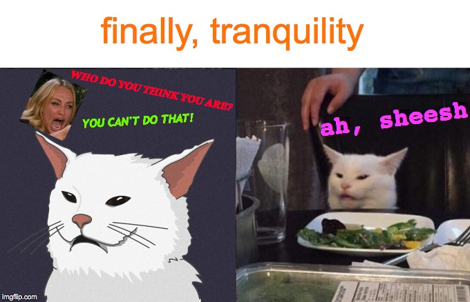 finally, tranquility; WHO DO YOU THINK YOU ARE? ah, sheesh; YOU CAN'T DO THAT! | image tagged in memes,woman yelling at cat,smudge the cat,angry lady cat,cat at dinner,reality tv | made w/ Imgflip meme maker