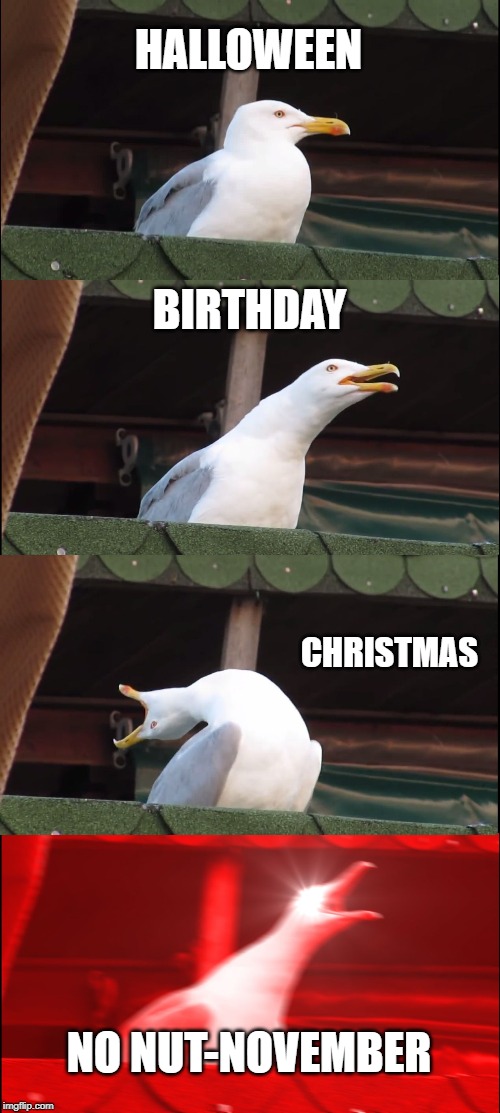 Inhaling Seagull Meme |  HALLOWEEN; BIRTHDAY; CHRISTMAS; NO NUT-NOVEMBER | image tagged in memes,inhaling seagull | made w/ Imgflip meme maker