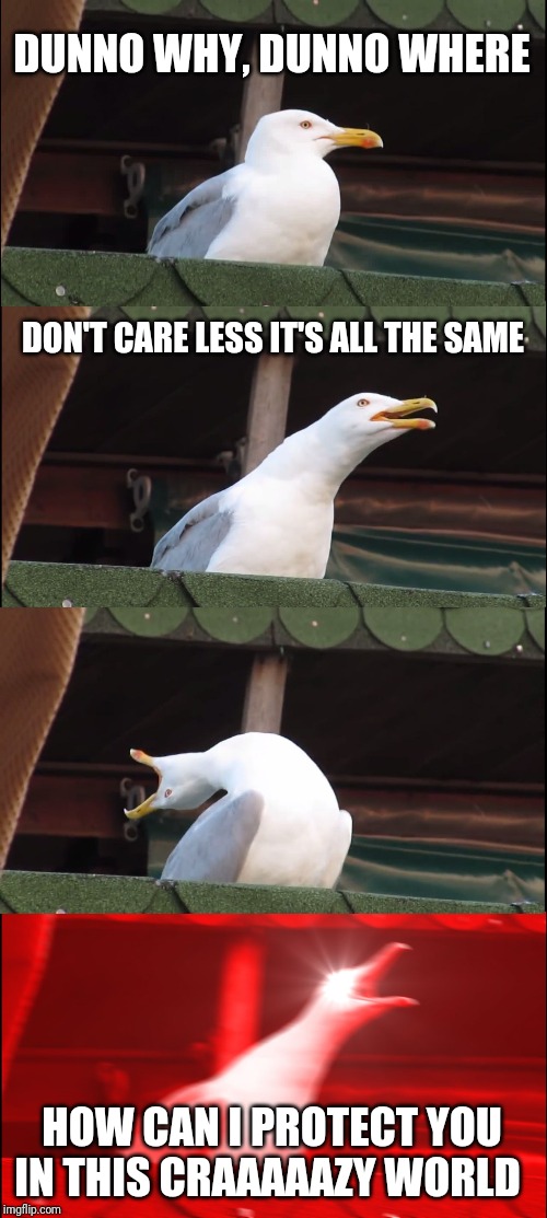 Inhaling Seagull Meme |  DUNNO WHY, DUNNO WHERE; DON'T CARE LESS IT'S ALL THE SAME; HOW CAN I PROTECT YOU IN THIS CRAAAAAZY WORLD | image tagged in memes,inhaling seagull | made w/ Imgflip meme maker