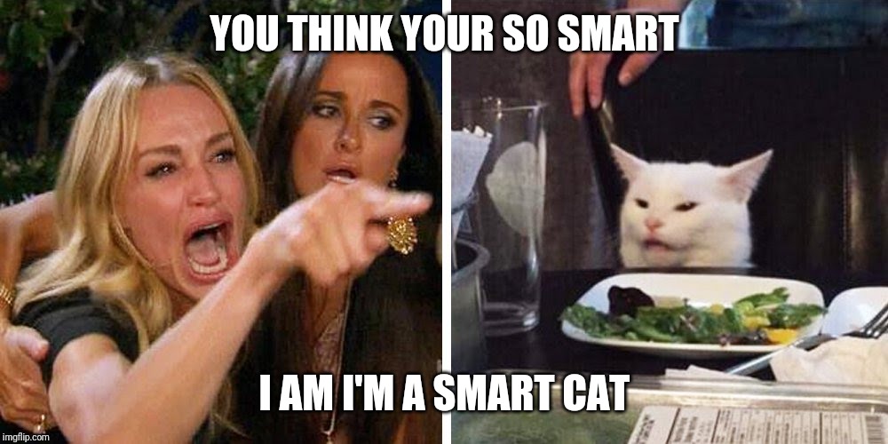 Smudge the cat | YOU THINK YOUR SO SMART; I AM I'M A SMART CAT | image tagged in smudge the cat | made w/ Imgflip meme maker