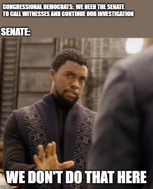 You had your time to investigate, now let the Jury deliberate. | CONGRESSIONAL DEMOCRATS:  WE NEED THE SENATE TO CALL WITNESSES AND CONTINUE OUR INVESTIGATION; SENATE:; WE DON'T DO THAT HERE | image tagged in we don't do that here,impeach trump,funny,politics,political meme | made w/ Imgflip meme maker