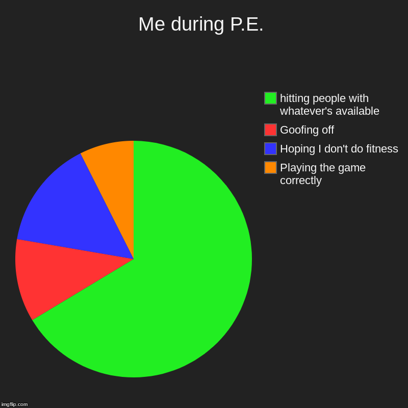 Me during P.E. | Playing the game correctly, Hoping I don't do fitness, Goofing off, hitting people with whatever's available | image tagged in charts,pie charts | made w/ Imgflip chart maker