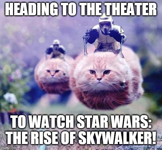 Storm Trooper Cats | HEADING TO THE THEATER; TO WATCH STAR WARS: THE RISE OF SKYWALKER! | image tagged in storm trooper cats | made w/ Imgflip meme maker