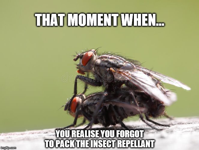 Insect Repelant | THAT MOMENT WHEN... YOU REALISE YOU FORGOT TO PACK THE INSECT REPELLANT | image tagged in insect repelant | made w/ Imgflip meme maker
