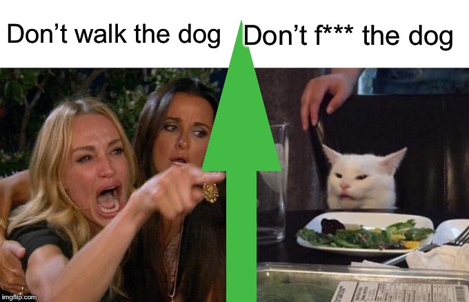 I didn’t make this for the public it was originally a comment. | Don’t walk the dog Don’t f*** the dog | image tagged in memes,woman yelling at cat | made w/ Imgflip meme maker