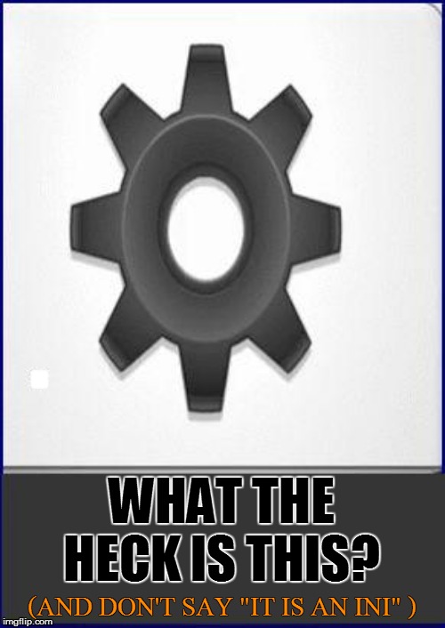. WHAT THE HECK IS THIS? (AND DON'T SAY "IT IS AN INI" ) | made w/ Imgflip meme maker