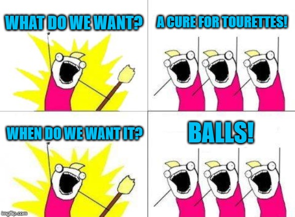 What Do We Want Meme | WHAT DO WE WANT? A CURE FOR TOURETTES! BALLS! WHEN DO WE WANT IT? | image tagged in memes,what do we want | made w/ Imgflip meme maker