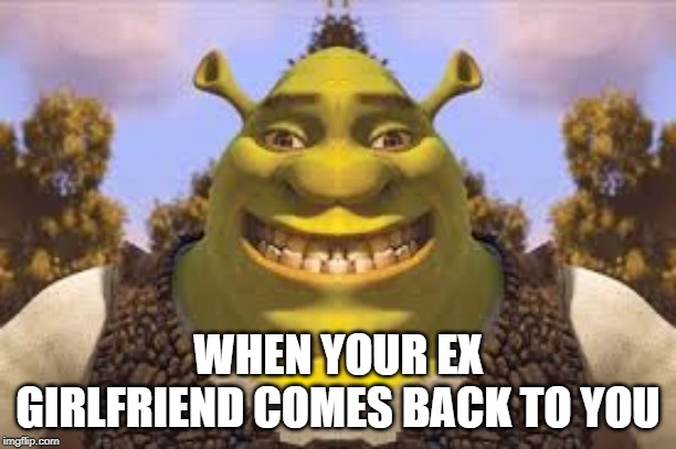 Shrek is back | WHEN YOUR EX GIRLFRIEND COMES BACK TO YOU | image tagged in lol so funny | made w/ Imgflip meme maker