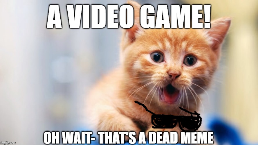 A thing! | A VIDEO GAME! OH WAIT- THAT'S A DEAD MEME | image tagged in cats,a thing,video games,dead memes,memes | made w/ Imgflip meme maker