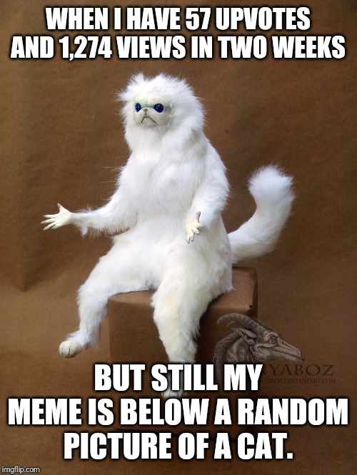 Persian Cat Room Guardian Single | WHEN I HAVE 57 UPVOTES AND 1,274 VIEWS IN TWO WEEKS; BUT STILL MY MEME IS BELOW A RANDOM PICTURE OF A CAT. | image tagged in memes,persian cat room guardian single | made w/ Imgflip meme maker