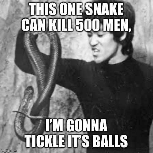 The ball tickler | THIS ONE SNAKE CAN KILL 500 MEN, I’M GONNA TICKLE IT’S BALLS | made w/ Imgflip meme maker
