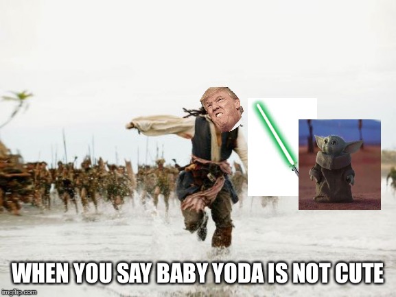 Jack Sparrow Being Chased Meme | WHEN YOU SAY BABY YODA IS NOT CUTE | image tagged in memes,jack sparrow being chased | made w/ Imgflip meme maker