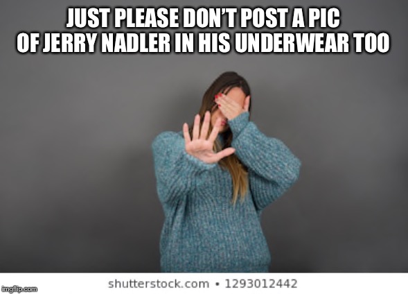 JUST PLEASE DON’T POST A PIC OF JERRY NADLER IN HIS UNDERWEAR TOO | made w/ Imgflip meme maker