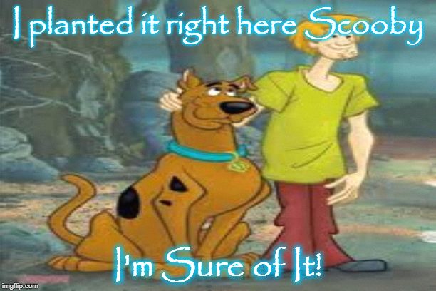 I planted it right here Scooby; I'm Sure of It! | image tagged in fun | made w/ Imgflip meme maker