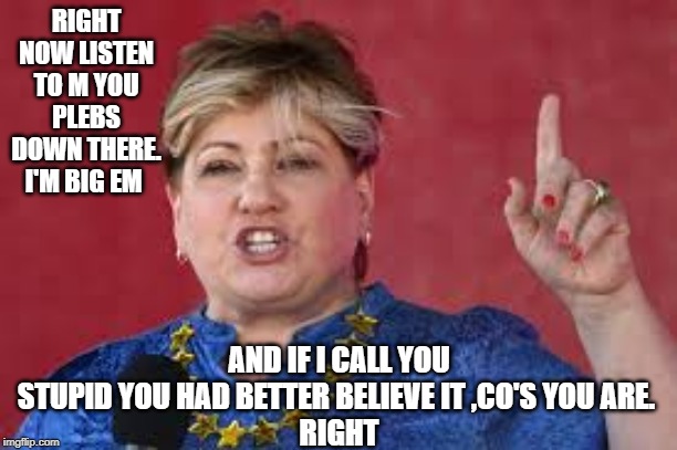 RIGHT NOW LISTEN TO M YOU PLEBS DOWN THERE. I'M BIG EM; AND IF I CALL YOU STUPID YOU HAD BETTER BELIEVE IT ,CO'S YOU ARE. 
RIGHT | image tagged in labour party | made w/ Imgflip meme maker